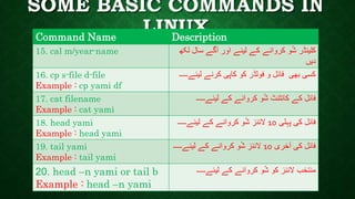 SOME BASIC COMMANDS IN
LINUXCommand Name Description
15. cal m/year-name ‫لکھ‬ ‫سال‬ ‫آگے‬ ‫اور‬ ‫لیئے‬ ‫کے‬ ‫کروانے‬ ‫و‬ُ‫ش‬ ‫کلینڈر‬
‫دیں‬
16. cp s-file d-file
Example : cp yami df
‫لیئے۔۔۔۔‬ ‫کرنے‬ ‫کاپی‬ ‫کو‬ ‫فولڈر‬ ‫و‬ ‫فائل‬ ‫بھی‬ ‫کسی‬‫۔‬
17. cat filename
Example : cat yami
‫لیئے۔۔۔۔۔‬ ‫کے‬ ‫کروانے‬ ‫و‬ُ‫ش‬ ‫کانٹنٹ‬ ‫کے‬ ‫فائل‬
18. head yami
Example : head yami
‫پہلی‬ ‫کی‬ ‫فائل‬10‫لیئے۔۔۔۔۔‬ ‫کے‬ ‫کروانے‬ ‫و‬ُ‫ش‬ ‫الئنز‬
19. tail yami
Example : tail yami
‫آخری‬ ‫کی‬ ‫فائل‬10‫لیئے۔۔۔۔۔‬ ‫کے‬ ‫کروانے‬ ‫و‬ُ‫ش‬ ‫الئنز‬
20. head –n yami or tail b
Example : head –n yami
‫لیئے۔۔۔۔۔‬ ‫کے‬ ‫کروانے‬ ‫و‬ُ‫ش‬ ‫کو‬ ‫الئنز‬ ‫منتخب‬
 