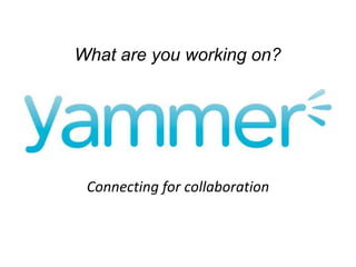Yammer: What are you working on? What are you working on? Connecting for collaboration 