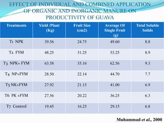 EFFECT OF INDIVIDUAL AND COMBINED APPLICATION
      OF ORGANIC AND INORGANIC MANURE ON
              PRODUCTIVITY OF GUAVA
 Treatments   Yield /Plant   Fruit Size   Average Of     Total Soluble
                  (Kg)         (cm2)      Single Fruit      Solids
                                               (g)
  T1 NPK         39.56         24.75         49.60            8.8

  T2 FYM         48.25         31.25         53.25            8.9

T3 NPK+ FYM      63.58         35.16         62.56            9.3

T4 NP+FYM        28.50         22.14         44.70            7.7

T5 NK+FYM        27.92         21.15         41.00            6.9

T6 PK +FYM       27.56         20.22         36.25            6.3

 T7 Control      19.45         16.25         29.15            6.8


                                                Muhammad et al., 2000
 