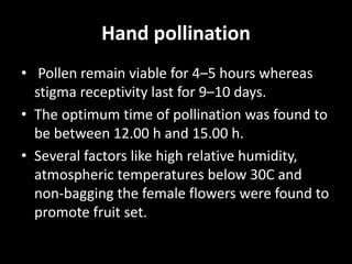 Hand pollination
• Pollen remain viable for 4–5 hours whereas
stigma receptivity last for 9–10 days.
• The optimum time of pollination was found to
be between 12.00 h and 15.00 h.
• Several factors like high relative humidity,
atmospheric temperatures below 30C and
non-bagging the female flowers were found to
promote fruit set.
 