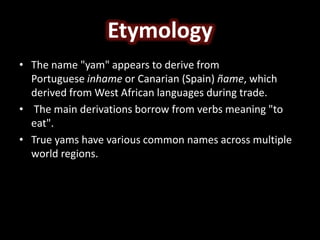Etymology
• The name "yam" appears to derive from
Portuguese inhame or Canarian (Spain) ñame, which
derived from West African languages during trade.
• The main derivations borrow from verbs meaning "to
eat".
• True yams have various common names across multiple
world regions.
 