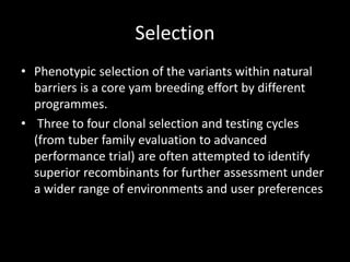Selection
• Phenotypic selection of the variants within natural
barriers is a core yam breeding effort by different
programmes.
• Three to four clonal selection and testing cycles
(from tuber family evaluation to advanced
performance trial) are often attempted to identify
superior recombinants for further assessment under
a wider range of environments and user preferences
 