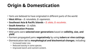 Breeding in yams : floral biology, methods and challenges | PPTX