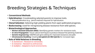 Breeding in yams : floral biology, methods and challenges | PPT