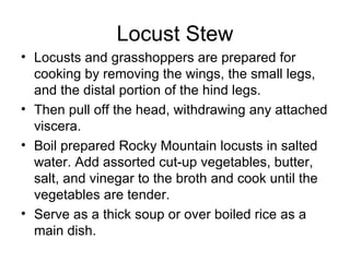 Locust Stew Locusts and grasshoppers are prepared for cooking by removing the wings, the small legs, and the distal portion of the hind legs.  Then pull off the head, withdrawing any attached viscera.  Boil prepared Rocky Mountain locusts in salted water. Add assorted cut-up vegetables, butter, salt, and vinegar to the broth and cook until the vegetables are tender.  Serve as a thick soup or over boiled rice as a main dish.  
