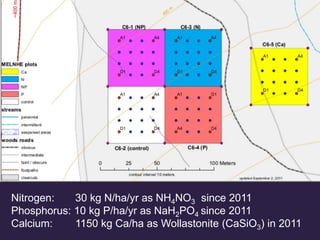 Nitrogen: 30 kg N/ha/yr as NH4NO3 since 2011
Phosphorus: 10 kg P/ha/yr as NaH2PO4 since 2011
Calcium: 1150 kg Ca/ha as Wollastonite (CaSiO3) in 2011
 
