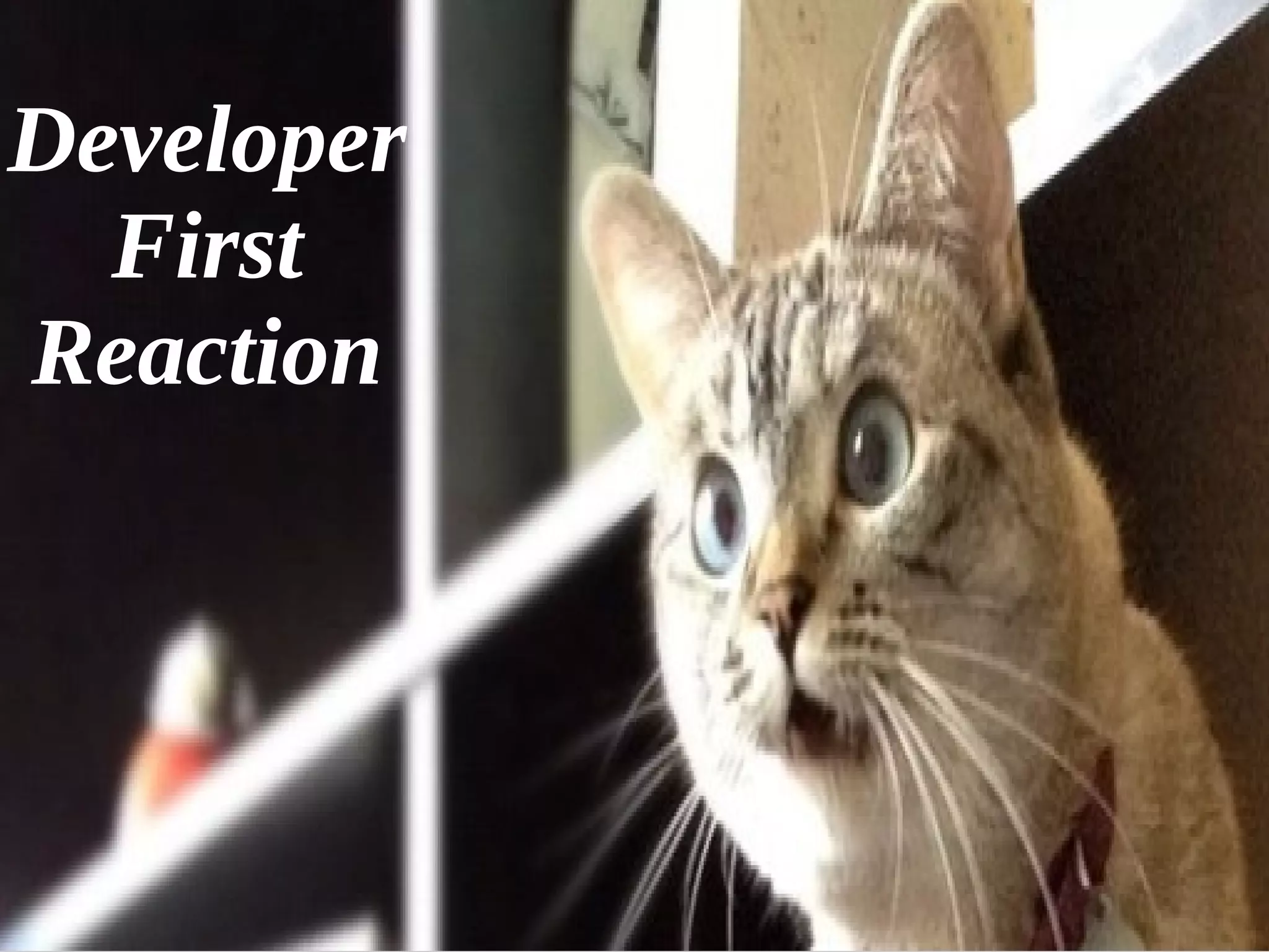 17
Developer
First
Reaction
 