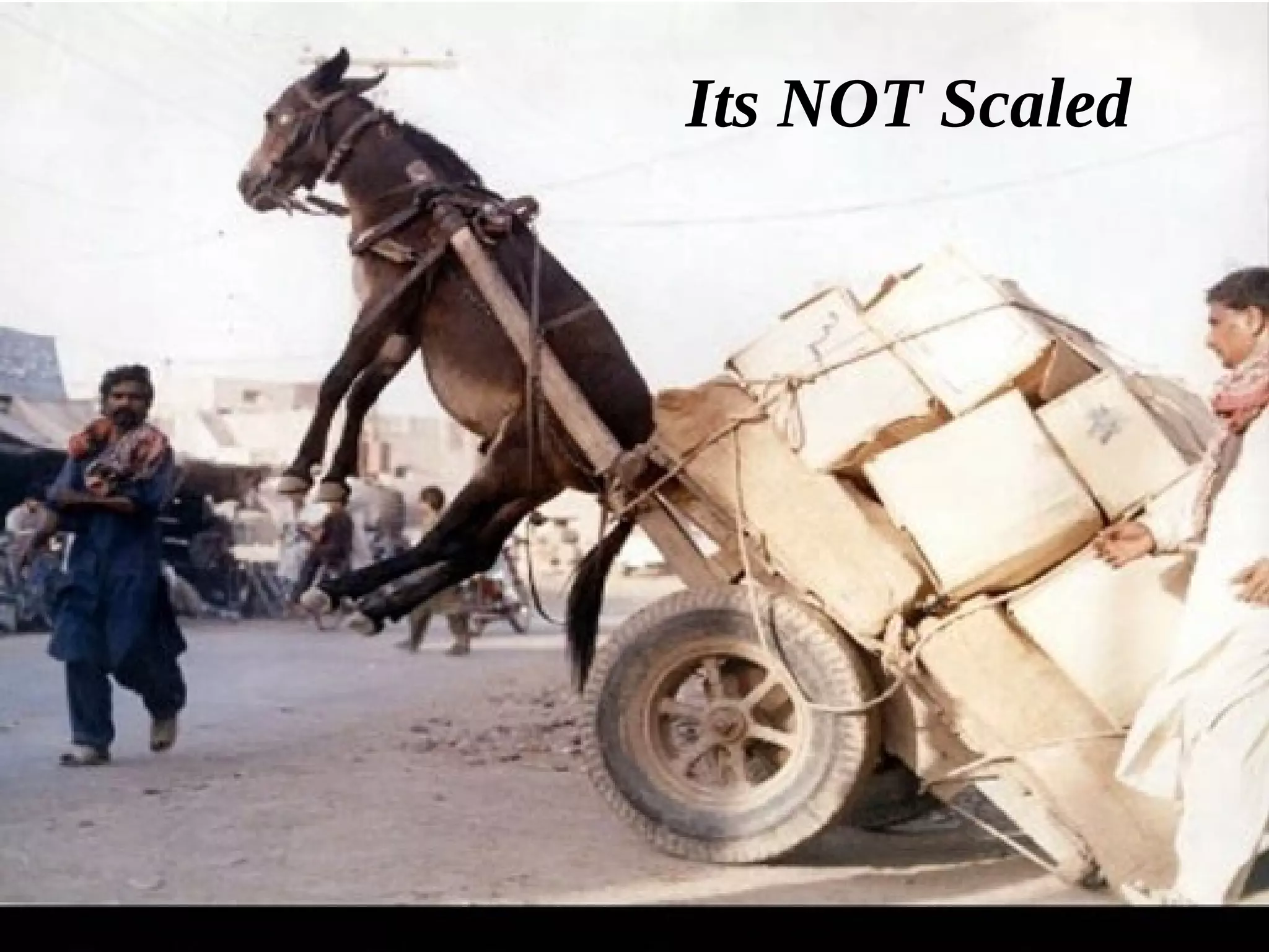 48
Its NOT Scaled
 