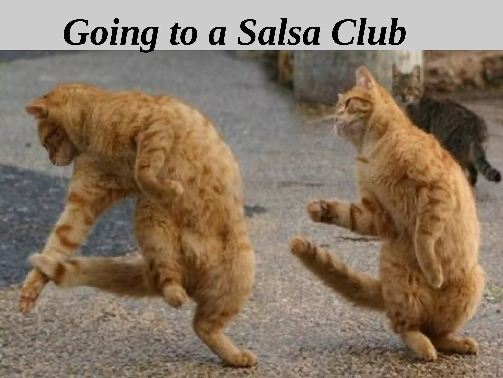 6
Going to a Salsa Club
 