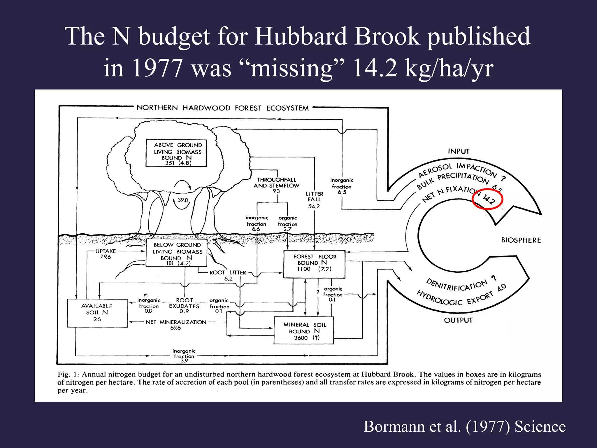 Bormann et al. (1977) Science
The N budget for Hubbard Brook published
in 1977 was “missing” 14.2 kg/ha/yr
 