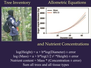 Tree Inventory
log(Height) = a + b*log(Diameter) ± error
log (Mass) = a + b*log(1/2 r2
*Height) ± error
Nutrient content = Mass * (Concentration ± error)
Sum all trees and all tissue types
Allometric Equations
and Nutrient Concentrations
 