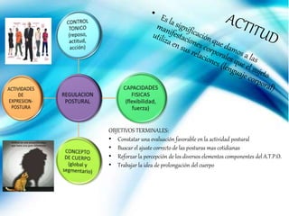 OBJETIVOS TERMINALES:
• Constatar una evaluación favorable en la actividad postural
• Buscar el ajuste correcto de las posturas mas cotidianas
• Reforzar la percepción de los diversos elementos componentes del A.T.P.O.
• Trabajar la idea de prolongación del cuerpo
 