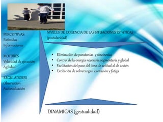 PERCEPTIVAS:
Estímulos
Informaciones
MOTORES
Velocidad de ejecución
Agilidad
REGULADORES
Observación
Autoevaluación
NIVELES DE EXIGENCIA DE LAS SITUACIONES ESTATICAS
(postularidad)
• Eliminación de paratonias y sincinesías
• Control de la energía necesaria segmentaria y global
• Facilitación del paso del tono de actitud al de acción
• Excitación de sobrecargas, excitación y fatiga
DINAMICAS (gestualidad)
 