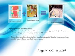 Orientación espacial
Estructuración espacial
Organización espacial
Organización espacial
según piaget existen dos tipos de espacio:
• Figurativo: se presenta en los periodos evolutivos sensomotores (0-2 años), y preoperatorios (2-7 años), se basa en
la vivencia motriz y perceptiva inmediata que el niño posee del espacio
• Representativo: periodo operatorio (7-8 años) el niño adquiere la capacidad de analizar los datos perceptivos de
inmediato y elabora relaciones espaciales de mayor complejidad
 