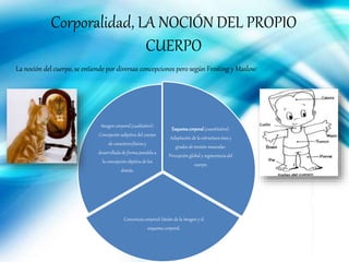Corporalidad, LA NOCIÓN DEL PROPIO
CUERPO
La noción del cuerpo, se entiende por diversas concepciones pero según Frosting y Maslow:
Esquemacorporal(cuantitativo):
Adaptación de la estructura ósea y
grados de tensión muscular.
Percepción global y segmentariadel
cuerpo.
Conciencia corporal: Unión de la imagen y el
esquema corporal.
Imagen corporal (cualitativo):
Concepción subjetiva del cuerpo
de caracteresfísicos y
desarrollada de forma paralela a
la concepción objetiva de los
demás.
 