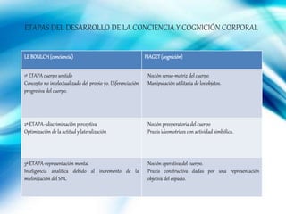 ETAPAS DEL DESARROLLO DE LA CONCIENCIA Y COGNICIÓN CORPORAL
LE BOULCH(conciencia) PIAGET(cognición)
1º ETAPA cuerpo sentido
Concepto no intelectualizado del propio yo. Diferenciación
progresiva del cuerpo.
Noción senso-motriz del cuerpo
Manipulación utilitaria de los objetos.
2ª ETAPA–discriminación perceptiva
Optimización de la actitud y lateralización
Noción preoperatoria del cuerpo
Praxis ideomotrices con actividad simbólica.
3ª ETAPA-representación mental
Inteligencia analítica debido al incremento de la
mielinización del SNC
Noción operativa del cuerpo.
Praxis constructiva dadas por una representación
objetiva del espacio.
 
