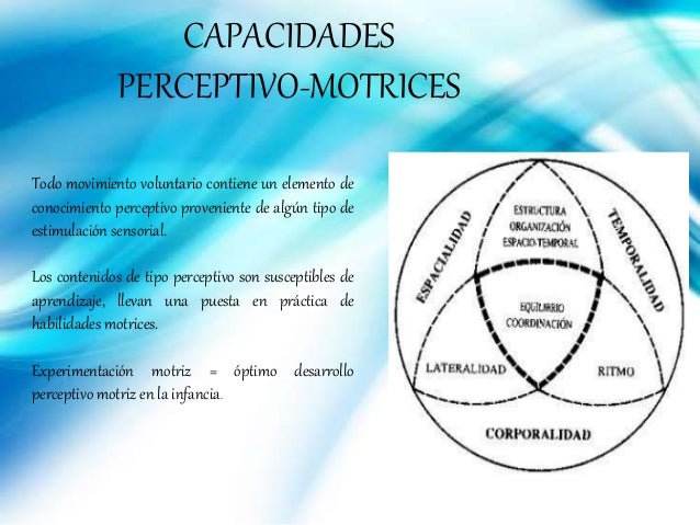 CAPACIDADES PERCEPTIVO MOTRICES (Marta Castañer Balcells, ‎Oleguer Ca…