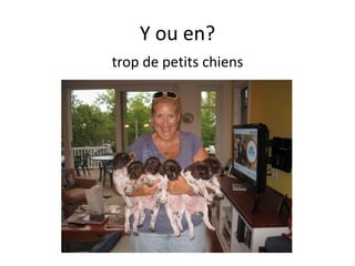 +
Y ou en?
dans la salle à manger de Monet
 