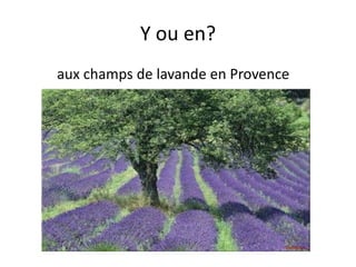 +
Sites pour vous aider:
 http://www.estudiodefrances.com/fle-html5/grammaire/y-
en.html
 http://www.lepointdufle.net/ressources_fle/cod_coi_2.htm
 http://www.estudiodefrances.com/exercices/francais-des-
affaires-le-pronom-en.html
 