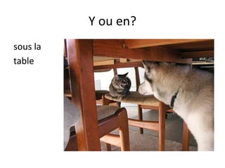 +
Y ou en? 2 chats
 