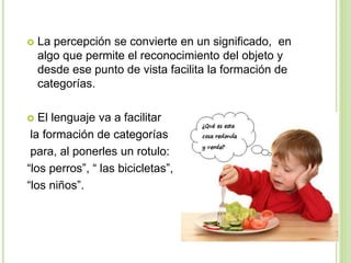  La percepción se convierte en un significado, en
algo que permite el reconocimiento del objeto y
desde ese punto de vista facilita la formación de
categorías.
 El lenguaje va a facilitar
la formación de categorías
para, al ponerles un rotulo:
“los perros”, “ las bicicletas”,
“los niños”.
 