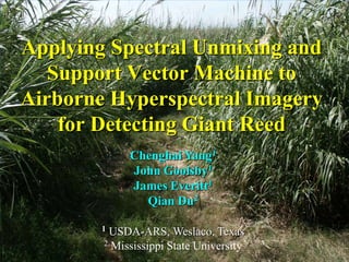 Applying Spectral Unmixing and Support Vector Machine to Airborne Hyperspectral Imagery for Detecting Giant Reed Chenghai Yang1 John Goolsby1 James Everitt1 Qian Du2  1USDA-ARS, Weslaco, Texas 2 Mississippi State University 1 