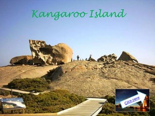 Kangaroo Island
 