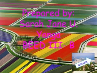 Prepared by:
Sarah Jane U.
    Yanga
 BEED III- B
 