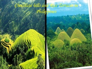 Chocolate hills and Rice Terraces in
            Philippines
 