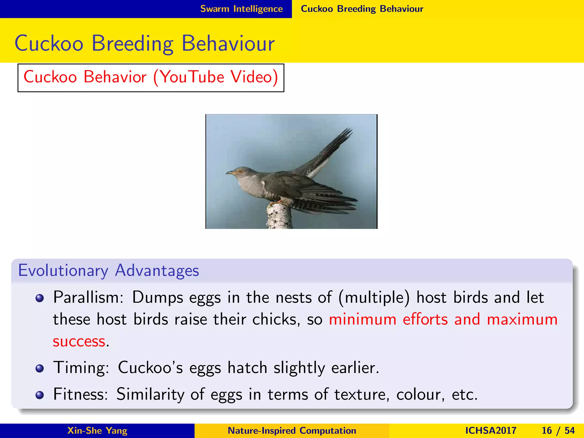 Swarm Intelligence Cuckoo Breeding Behaviour
Cuckoo Breeding Behaviour
Cuckoo Behavior (YouTube Video)
Evolutionary Advantages
Parallism: Dumps eggs in the nests of (multiple) host birds and let
these host birds raise their chicks, so minimum eﬀorts and maximum
success.
Timing: Cuckoo’s eggs hatch slightly earlier.
Fitness: Similarity of eggs in terms of texture, colour, etc.
Xin-She Yang Nature-Inspired Computation ICHSA2017 16 / 54
 
