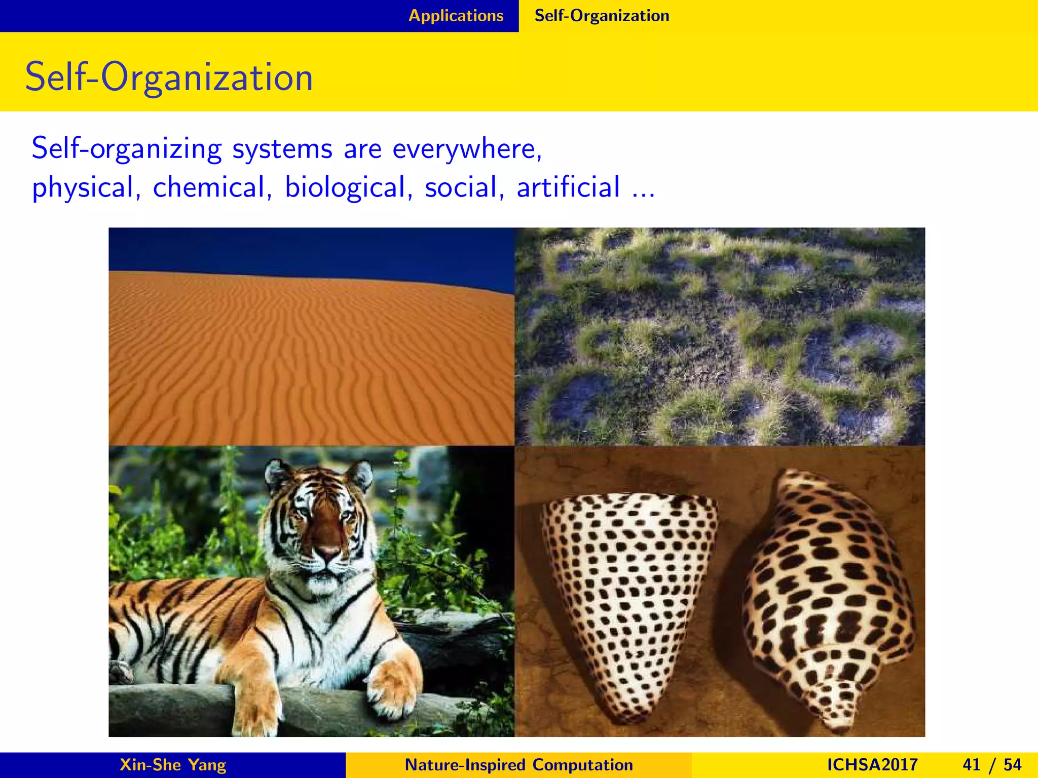 Applications Self-Organization
Self-Organization
Self-organizing systems are everywhere,
physical, chemical, biological, social, artiﬁcial ...
Xin-She Yang Nature-Inspired Computation ICHSA2017 41 / 54
 