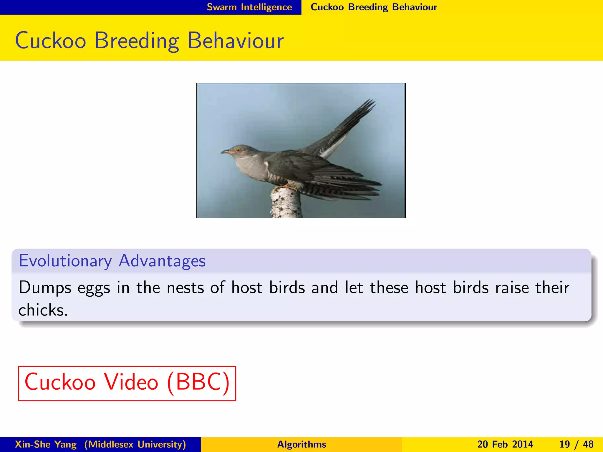 Swarm Intelligence

Cuckoo Breeding Behaviour

Cuckoo Breeding Behaviour

Evolutionary Advantages
Dumps eggs in the nests of host birds and let these host birds raise their
chicks.

Cuckoo Video (BBC)
Xin-She Yang (Middlesex University)

Algorithms

20 Feb 2014

19 / 48

 
