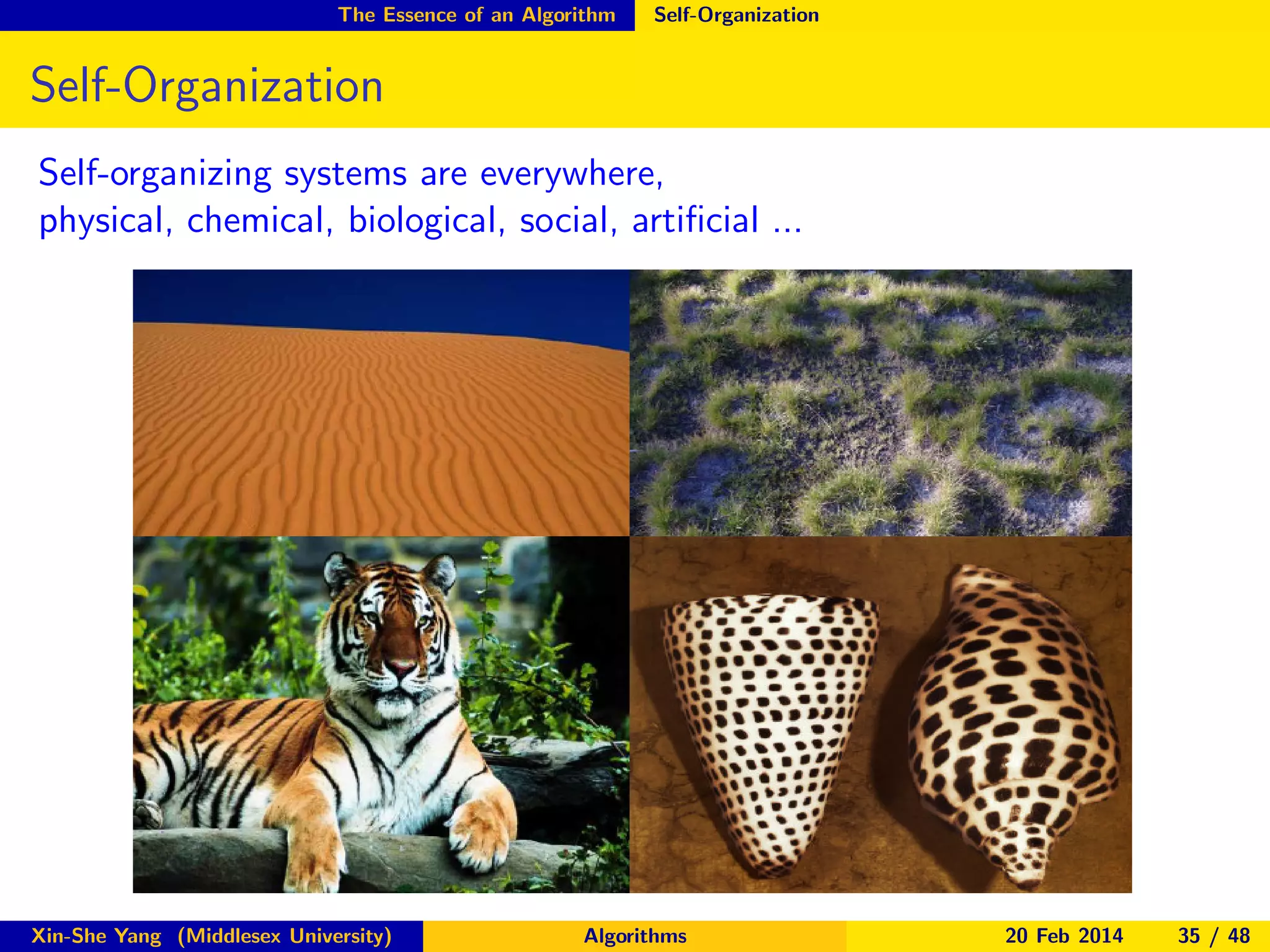 The Essence of an Algorithm

Self-Organization

Self-Organization
Self-organizing systems are everywhere,
physical, chemical, biological, social, artiﬁcial ...

Xin-She Yang (Middlesex University)

Algorithms

20 Feb 2014

35 / 48

 