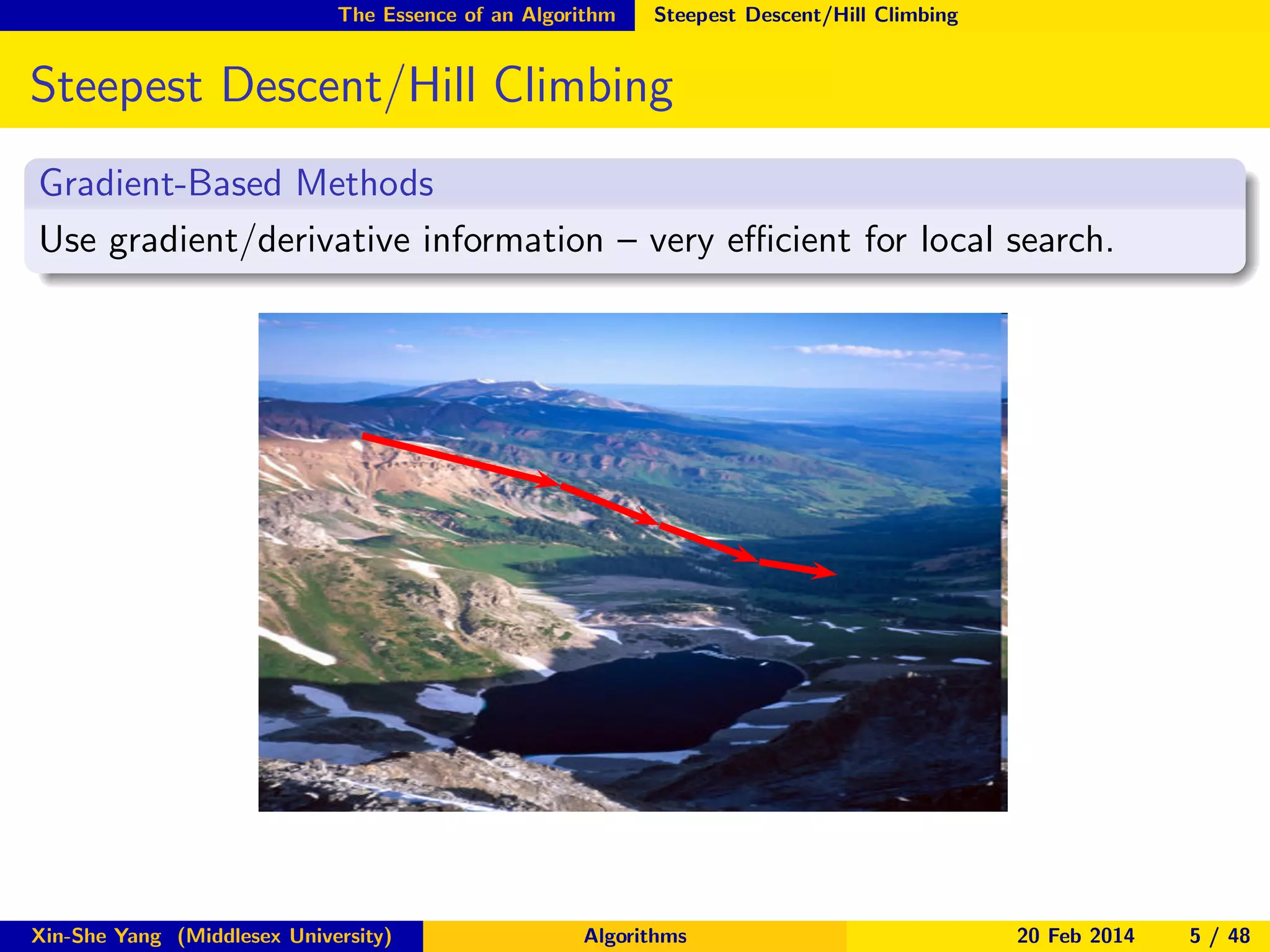 The Essence of an Algorithm

Steepest Descent/Hill Climbing

Steepest Descent/Hill Climbing
Gradient-Based Methods
Use gradient/derivative information – very eﬃcient for local search.

Xin-She Yang (Middlesex University)

Algorithms

20 Feb 2014

5 / 48

 