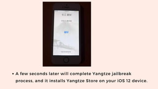A few seconds later will complete Yangtze jailbreak
process, and it installs Yangtze Store on your iOS 12 device.
 