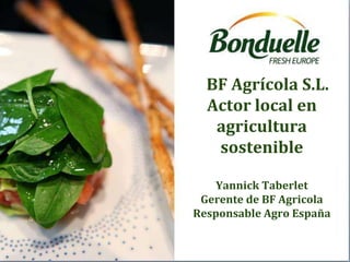 BF Agrícola S.L.
Actor local en
agricultura
sostenible
Yannick Taberlet
Gerente de BF Agricola
Responsable Agro España
 