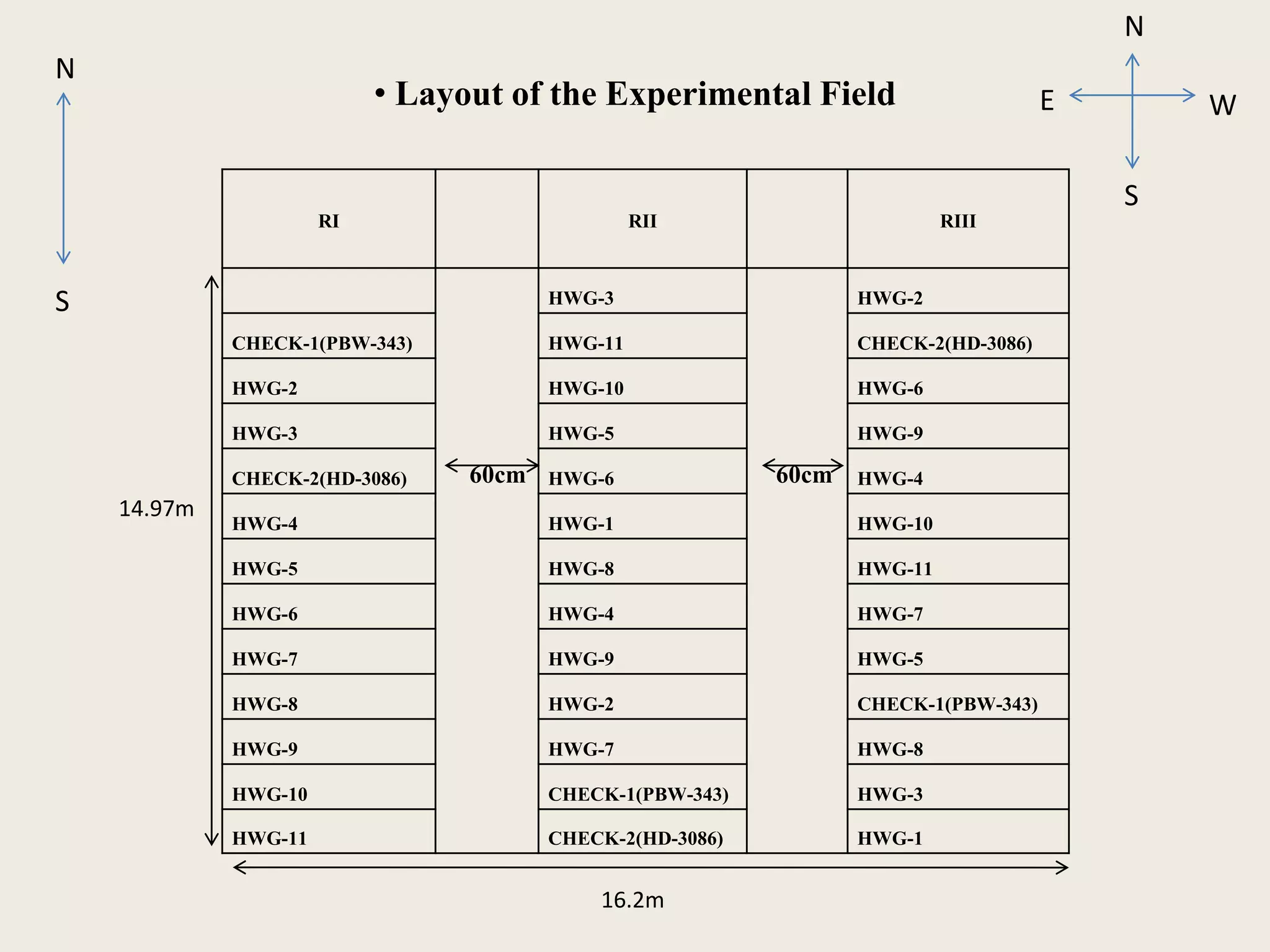 • Layout of the Experimental Field
RI RII RIII
HWG-3 HWG-2
CHECK-1(PBW-343) HWG-11 CHECK-2(HD-3086)
HWG-2 HWG-10 HWG-6
HWG-3 HWG-5 HWG-9
CHECK-2(HD-3086) 60cm HWG-6 60cm HWG-4
HWG-4 HWG-1 HWG-10
HWG-5 HWG-8 HWG-11
HWG-6 HWG-4 HWG-7
HWG-7 HWG-9 HWG-5
HWG-8 HWG-2 CHECK-1(PBW-343)
HWG-9 HWG-7 HWG-8
HWG-10 CHECK-1(PBW-343) HWG-3
HWG-11 CHECK-2(HD-3086) HWG-1
14.97m
16.2m
N
W
S
E
N
S
 