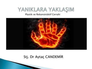Stj. Dr Aytaç CANDEMİR
Plastik ve Rekonstrüktif Cerrahi
 