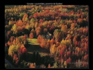 Canada : Laurentides, province de Québec 