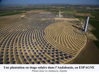 Une plantation en étage solaire dans l’Andalousie, en ESPAGNE
Planta Solar en Andalucía, España
 