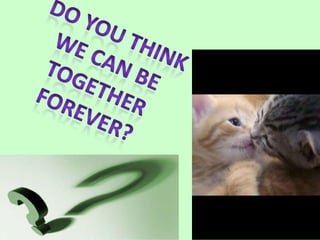 Do you think we can be together forever?