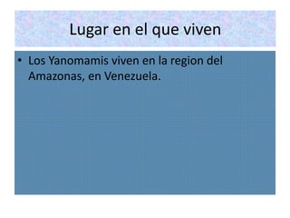 Lugar en el que viven
• Los Yanomamis viven en la region del
Amazonas, en Venezuela.