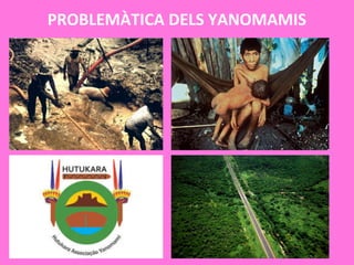 PROBLEMÀTICA DELS YANOMAMIS
 