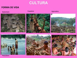 CULTURA
Caçadors
Sedentaris Agricultors
Pescadors
FORMA DE VIDA
 