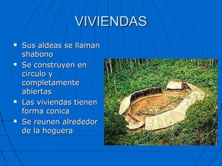 VIVIENDAS
   Sus aldeas se llaman
    shabono
   Se construyen en
    circulo y
    completamente
    abiertas
   Las viviendas tienen
    forma conica
   Se reunen alrededor
    de la hoguera
 