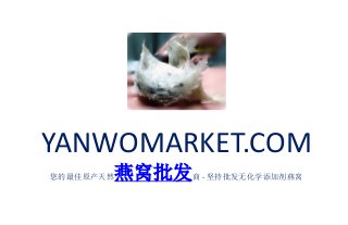 YANWOMARKET.COM
您的最佳原产天然燕窝批发商 - 坚持批发无化学添加剂燕窝
 