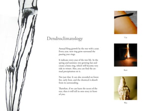 Dendroclimatology                                      Cut




     Annual Ring growth by the tree with a year.
     Every year, new ring grow surround the
     passing year rings.

     It indicate every year of the tree life. In the
     spring and summer, tree growing fast and
     create a loose ring, which will become very
     tide in winter. Also, you can nd the an-
                                                       Burn
     nual precipitation on it.

     Not just that, It can also recorded on forest
       re, early frost, and the chemical it absorb
     from its surrounding.

        erefore, if we can learn the secret of the
     tree, then it will tell its own story in front
     of you.


                                                       Wax
 