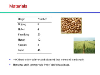 Materials

        Origin              Number
        Beijing             8
        Hebei               4
        Shandong            20
        Henan               12
        Shannxi             2
        Total               46


   46 Chinese winter cultivars and advanced lines were used in this study.

   Harvested grain samples were free of sprouting damage.
 