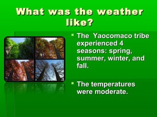 What was the weatherWhat was the weather
like?like?
 The Yaocomaco tribeThe Yaocomaco tribe
experienced 4experienced 4
seasons: spring,seasons: spring,
summer, winter, andsummer, winter, and
fall.fall.
 The temperaturesThe temperatures
were moderate.were moderate.
 
