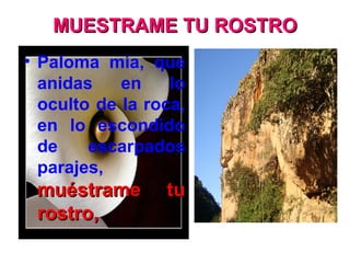 MUESTRAME TU ROSTROMUESTRAME TU ROSTRO
• Paloma mía, que
anidas en lo
oculto de la roca,
en lo escondido
de escarpados
parajes,
muéstrame tumuéstrame tu
rostro,rostro,
 